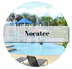 Nocatee Pool Homes